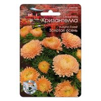 02Би2881 Астра китайская Хризантелла Золотая осень NDS