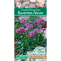 Армерия приморская БАЛЕРИНА ЛИЛАК