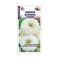02Зо0608 Цинния Маркиза в Белом