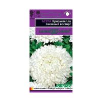 Га019954 Астра Хризантелла Снежный восторг (хризантемовидная) 0,05 г Н20