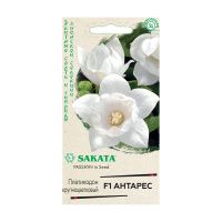 Га013372 Платикодон крупноцветковый F1 Антарес 5шт Гавриш