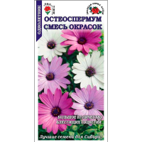 Остеоспермум смесь