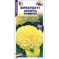 Бархатцы Антигуа Праймроуз F1