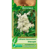 Лабазник вязолистный Знахарь