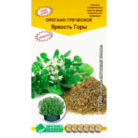 Орегано греческое ЯРКОСТЬ ГОРЫ