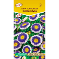 Астра ГОЛУБАЯ ЛУНА помпонная  (0,1 гр)