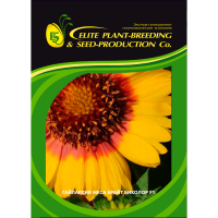 Гайлардия Меса Брайт Биколор