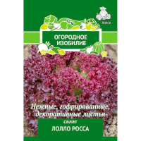 Салат Лолло Росса (ЧБ) 1гр
