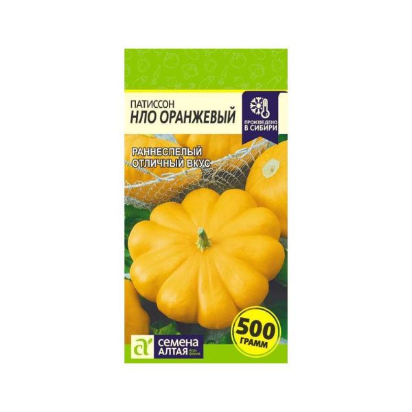 Патиссон НЛО Оранжевый