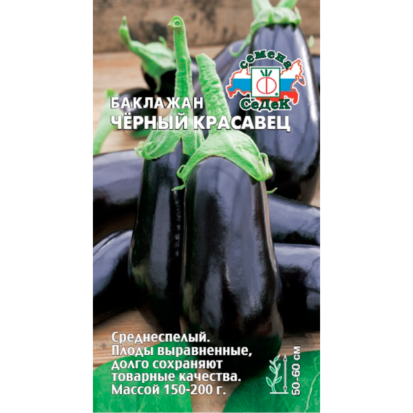 Баклажан Черный Красавец (МФ, 0,3)