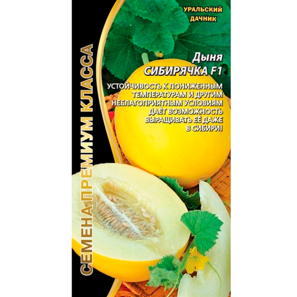 Дыня Сибирячка F1 (УД)