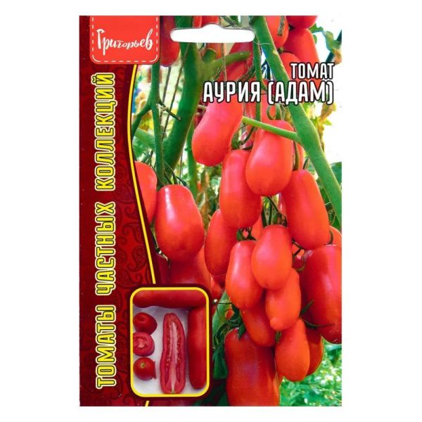 Т02Гр3172 омат Аурия (Адам) 10 шт. NDS