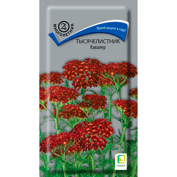 Тысячелистник Кавалер (ЦВ) (М) 0,1гр