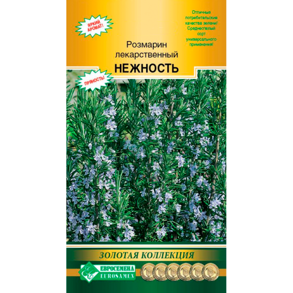 Розмарин лекарственный НЕЖНОСТЬ
