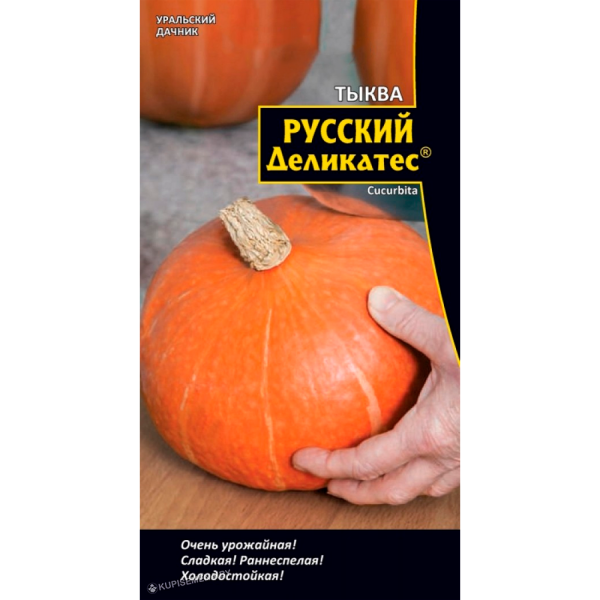 Тыква Русский деликатес