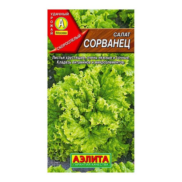 02Аэ1141 Салат Сорванец листовой