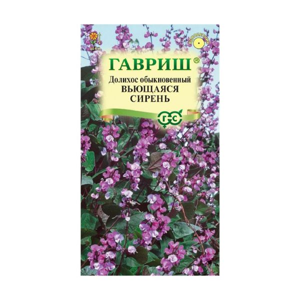 Га019999 Долихос-Гиацинтовые бобы-Вьющаяся сирень 4 шт