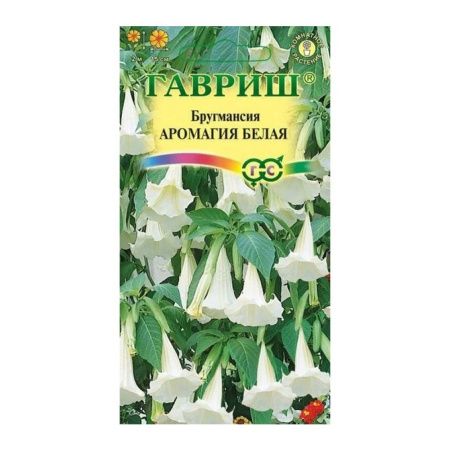 Га031322 Бругмансия Аромагия белая  3 шт