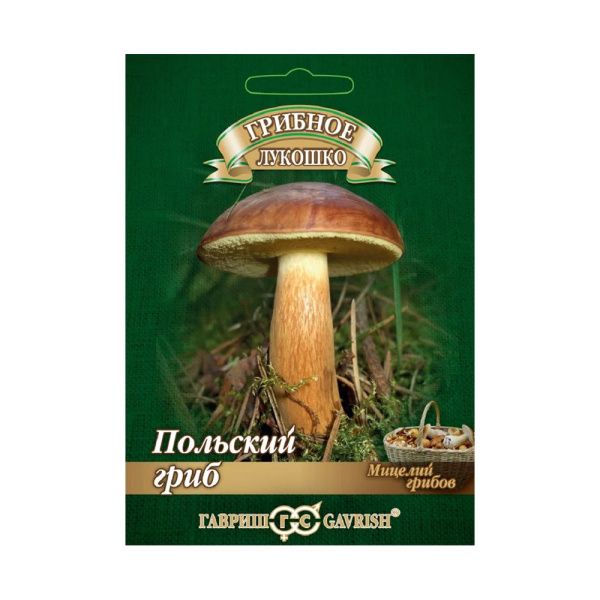 Га014242 Польский гриб на зерновом субстрате, больш. пак. 15 мл