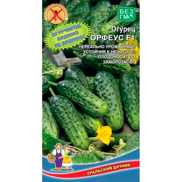 Огурец Орфеус F1