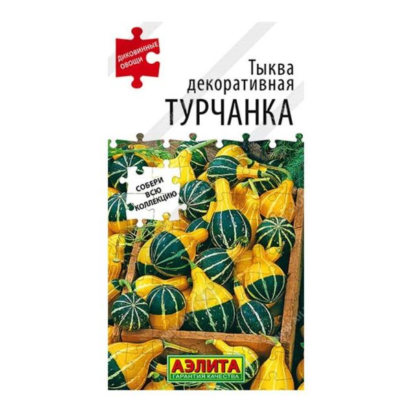 02Аэ1206 Тыква декоративная Турчанка
