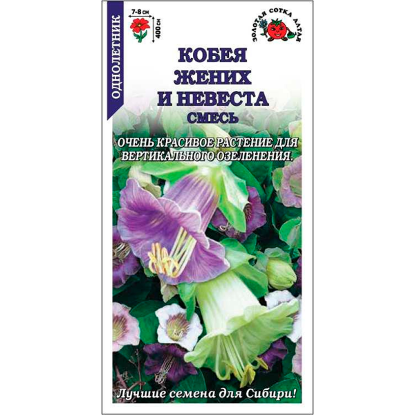 Кобея Жених и невеста