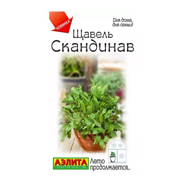 02Аэ1248 Щавель Скандинав