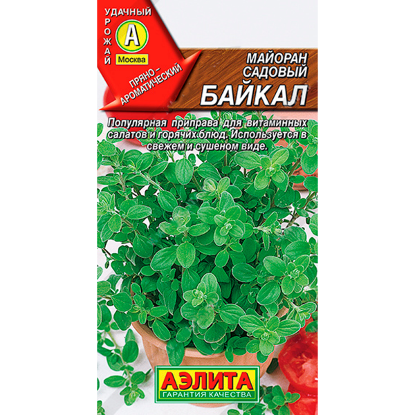Майоран садовый Байкал