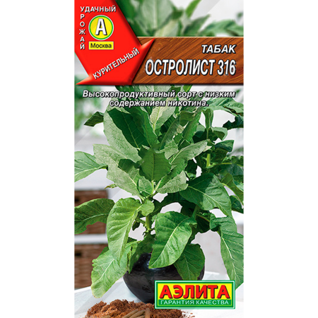 Табак Остролист 316