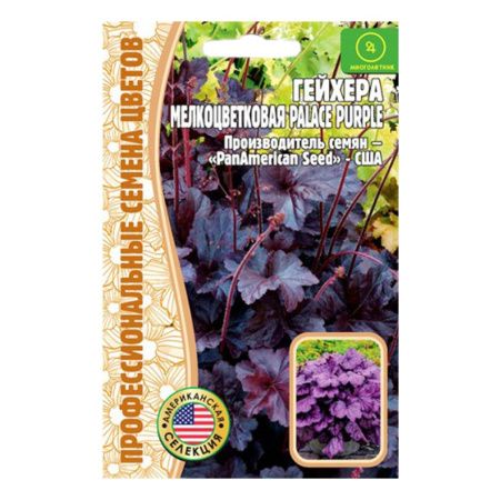 02Гр2974 Гейхера Palace Purple мелкоцветковая PanAm 10 шт. NDS
