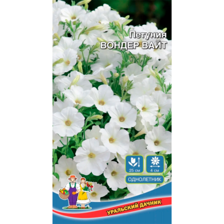 Петуния Вондер вайт