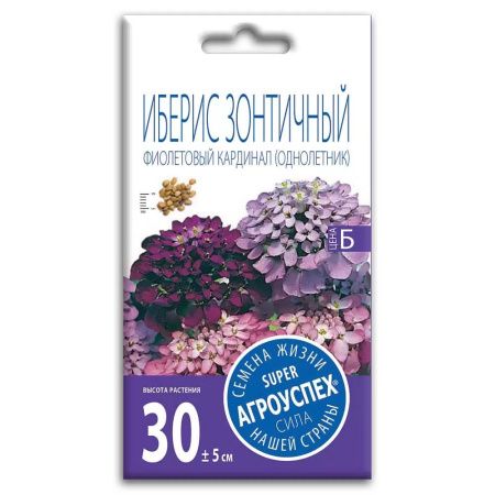 02Аг5716 Иберис Фиолетовый кардинал, семена Агроуспех 0,2г (350)