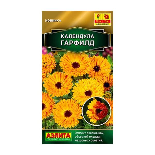 02Аэ1612 Календула Гарфилд махровая