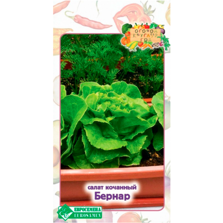 Салат кочанный БЕРНАР