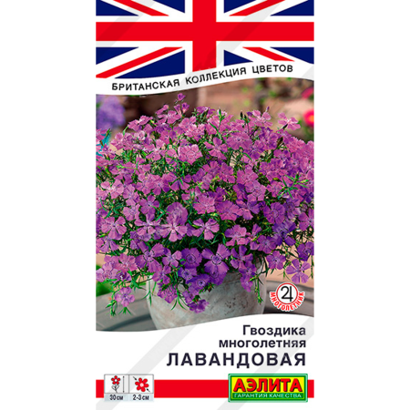 Гвоздика многолетняя лавандовая