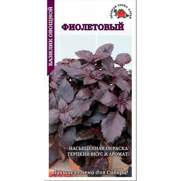 Базилик Фиолетовый
