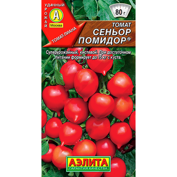 Томат Сеньор Помидор