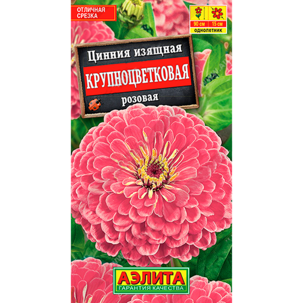 Цинния Крупноцветковая розовая