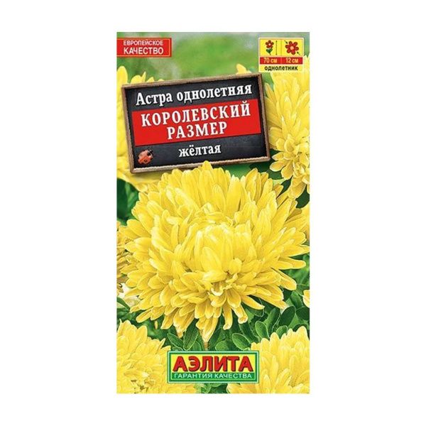 02Аэ1452 Астра Королевский размер желтая