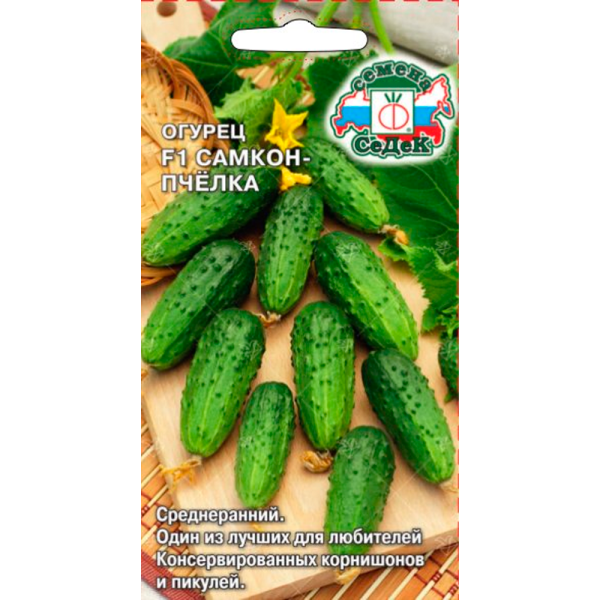 огурец Самкон Пчёлка