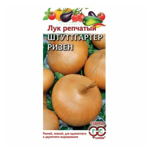 Га010844 Лук репч. Штуттгартер Ризен 0,5 г