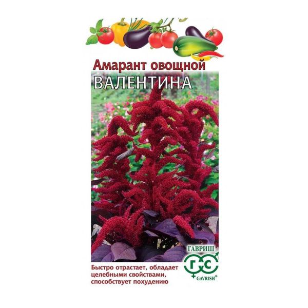 Га014291 Амарант Валентина (овощной)1,0 г