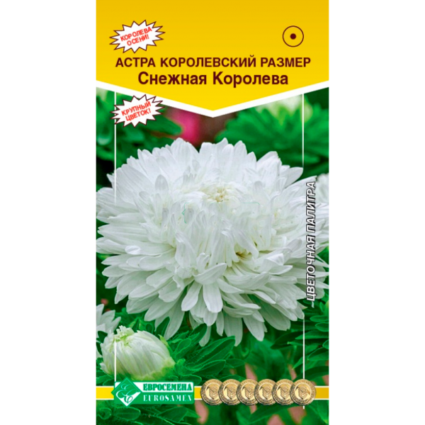 Астра КОРОЛЕВСКИЙ РАЗМЕР Снежная королева пионовидная 0,1гр