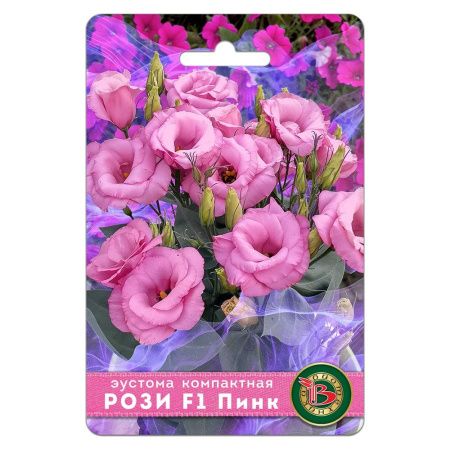 02Би3261 Эустома (лизиантус) компактная махровая Рози F1 Пинк NDS