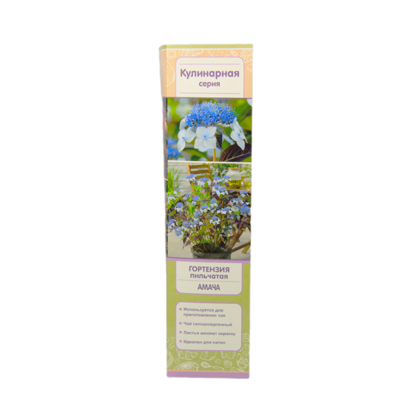 Гортензия пильчатая