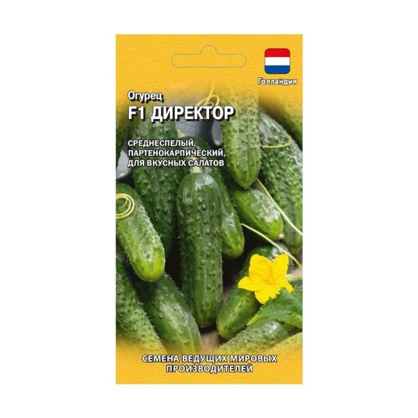 Га013506 Огурец F1 Директор Н20 (10)