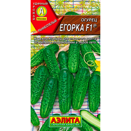 Огурец Егорка F1