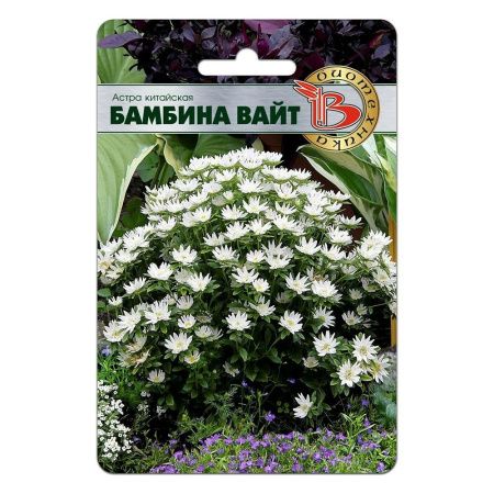 02Би2867 Астра китайская Бамбина Вайт NDS
