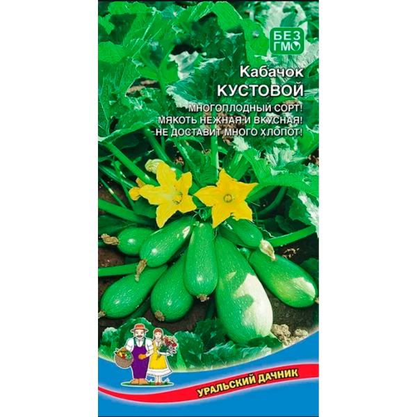 Кабачок Кустовой (УД)