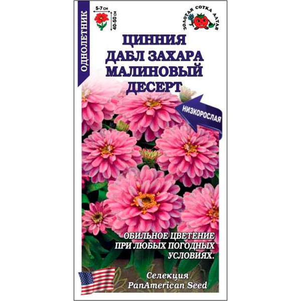 Цинния Дабл Захара Малиновый Десерт